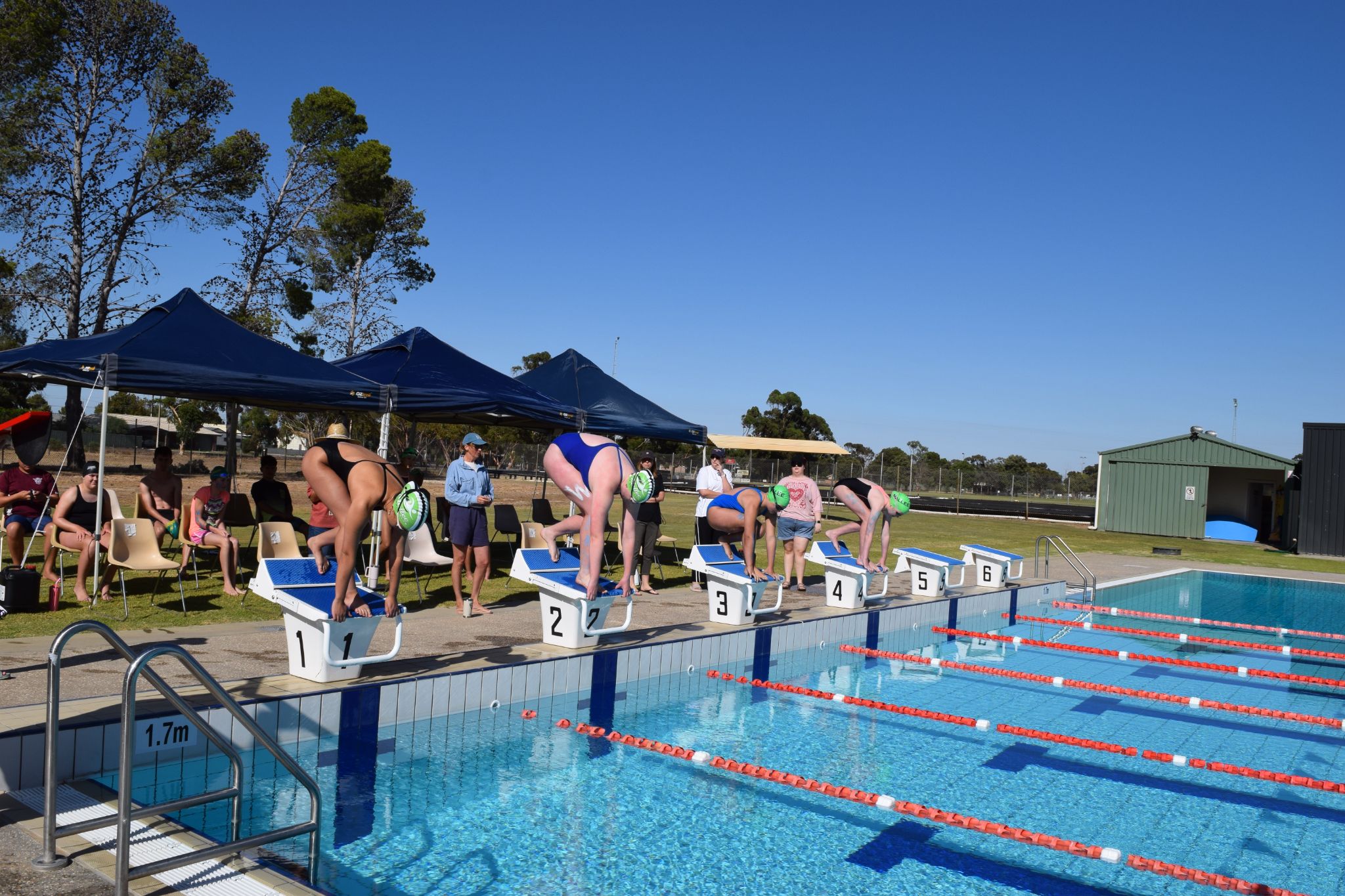 maroon v navy swimming carnival