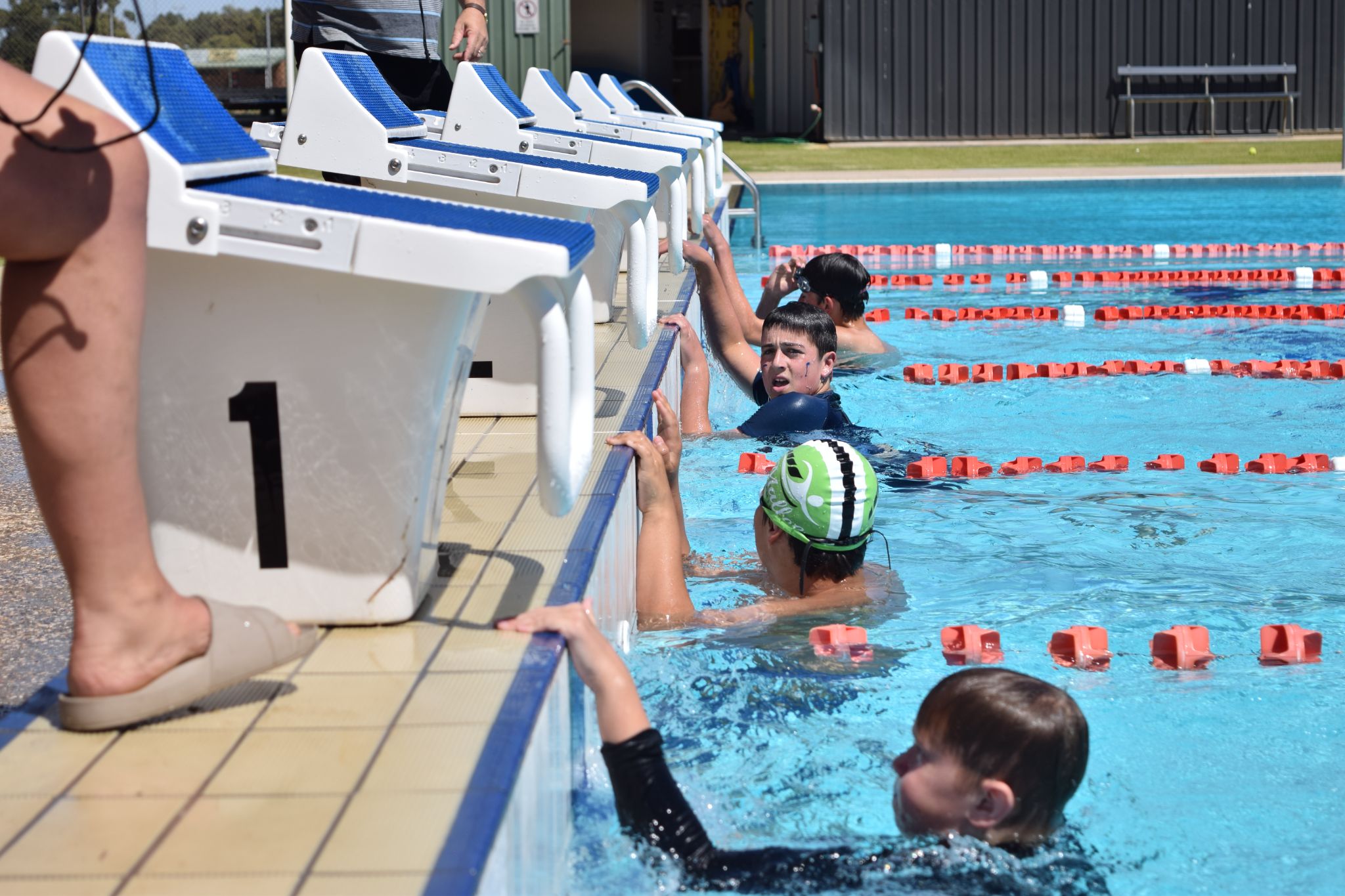 maroon v navy swimming carnival