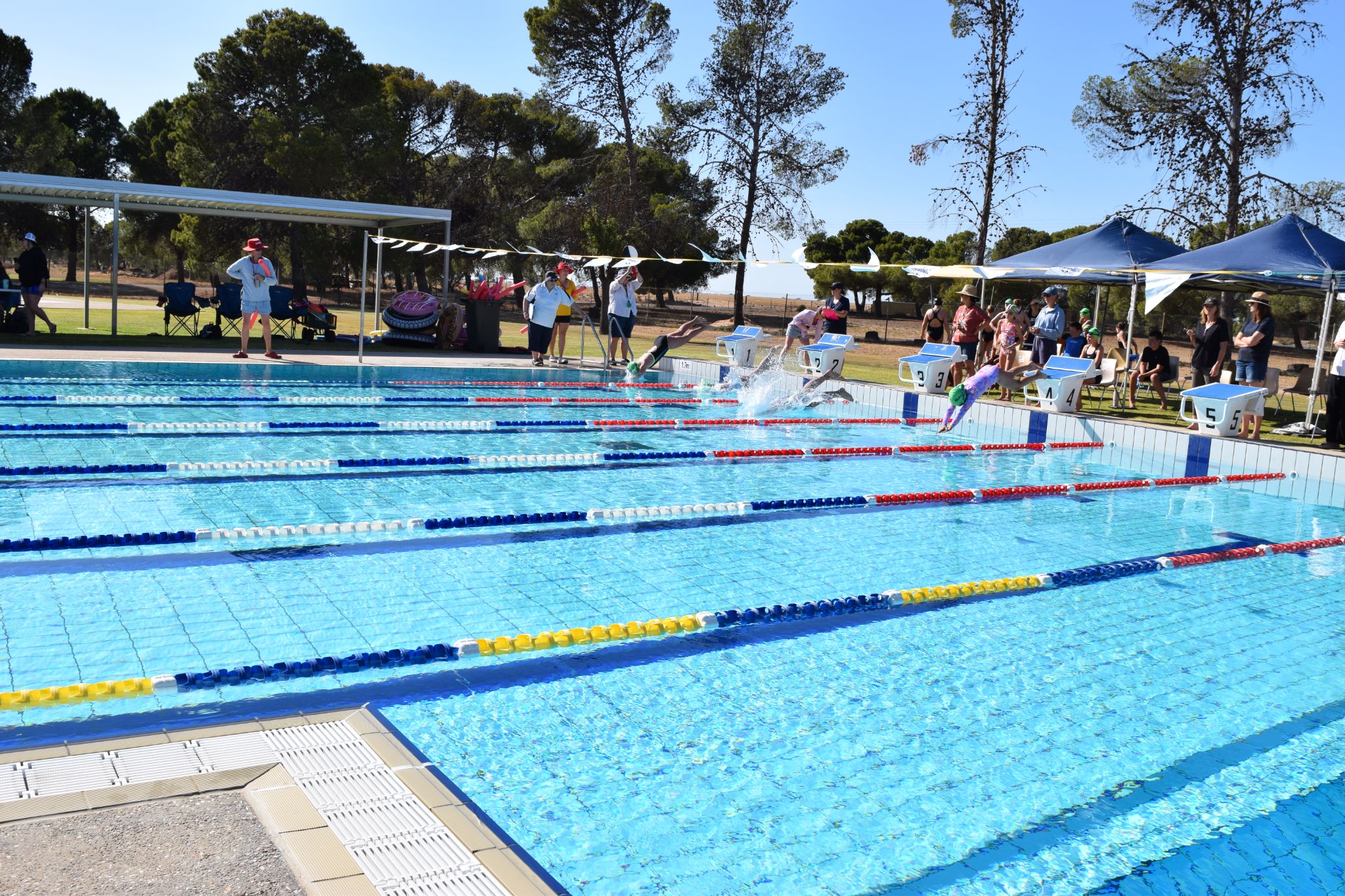 maroon v navy swimming carnival