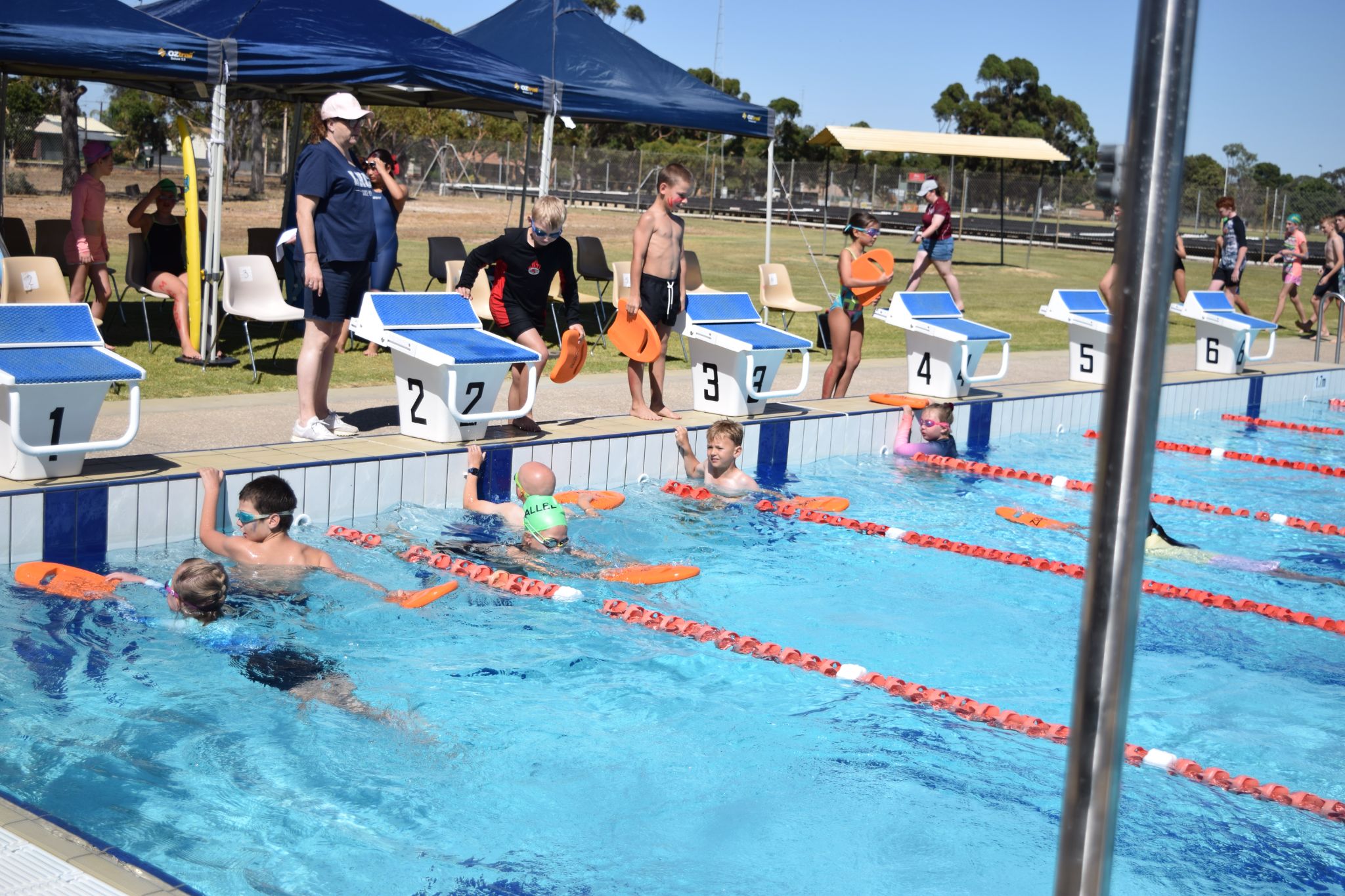 maroon v navy swimming carnival