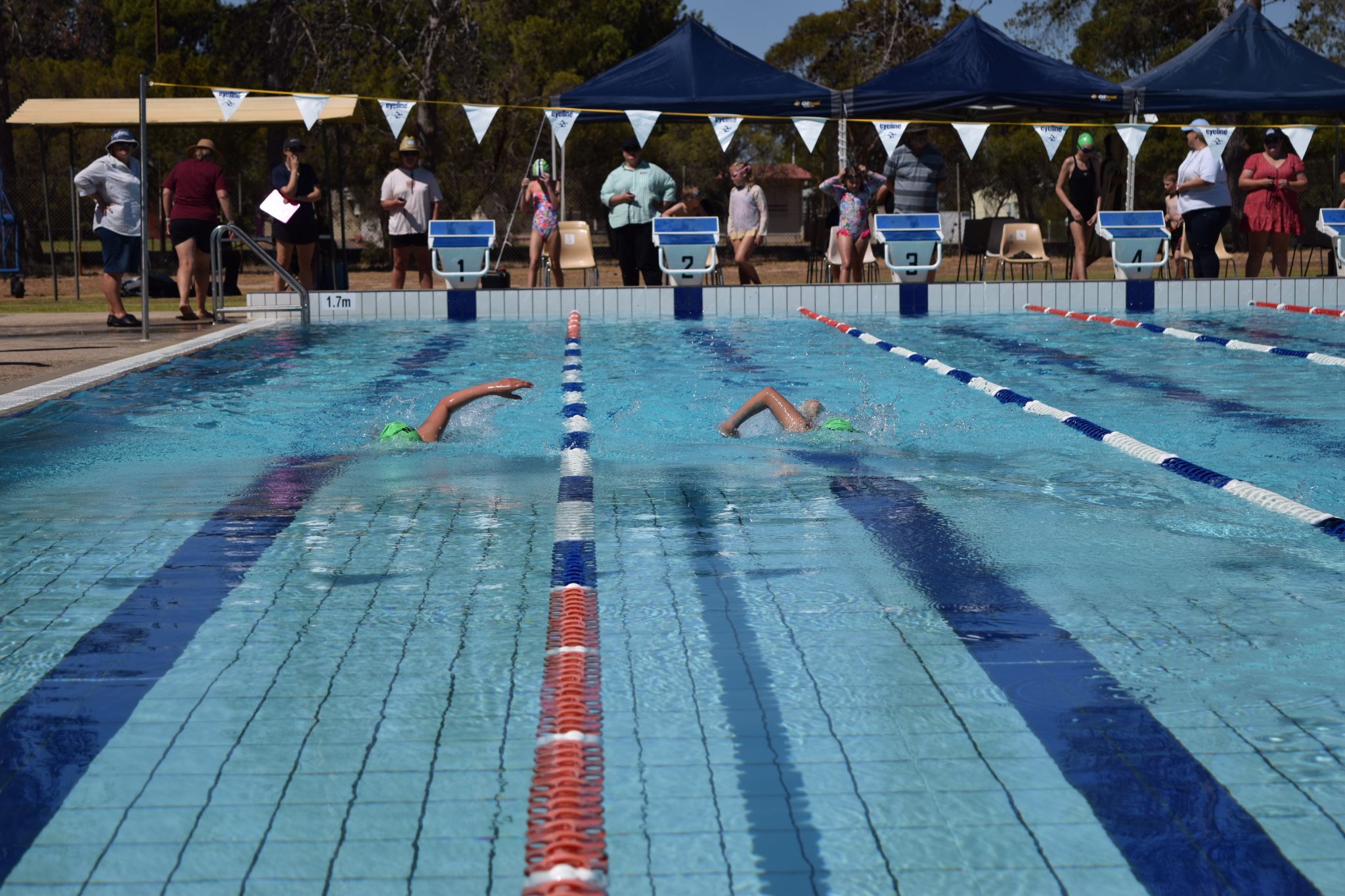 maroon v navy swimming carnival